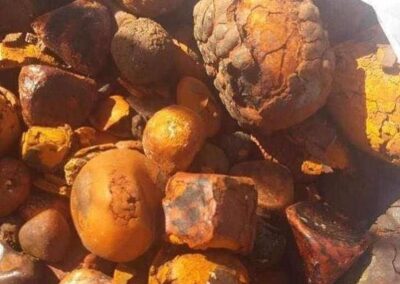 Cow Gallstones for sale